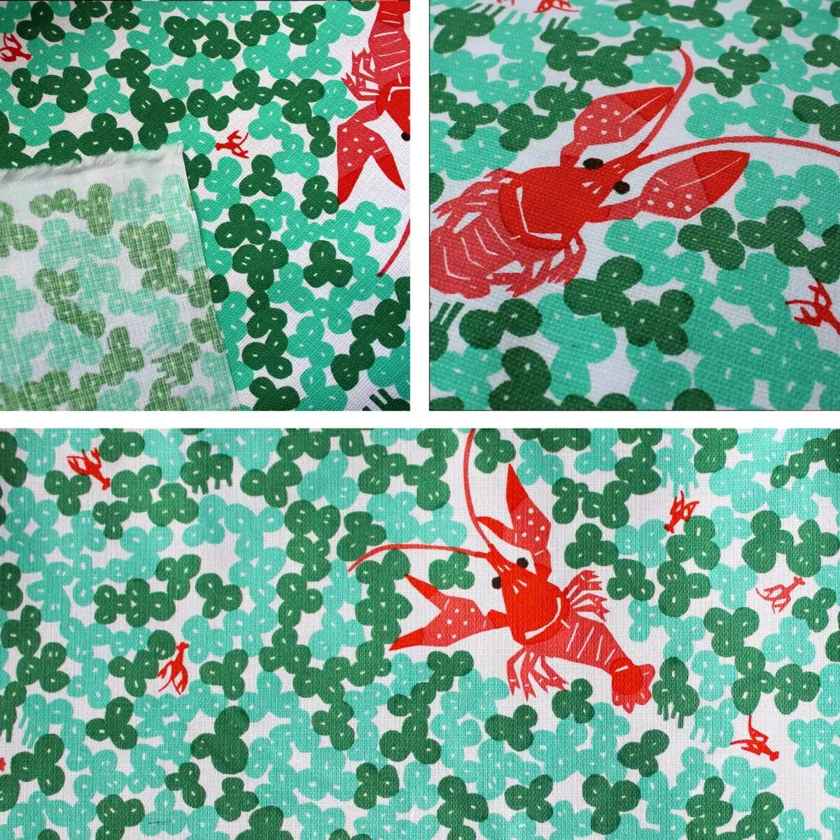 Zarigani (crayfish) - Image 2